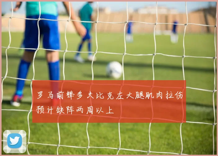 罗马前锋多夫比克左大腿肌肉拉伤预计缺阵两周以上